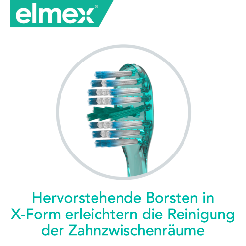 Hervorstehende Borsten in X-Form