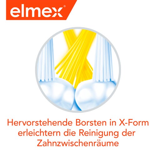 Hervorstehende Borsten in X-Form