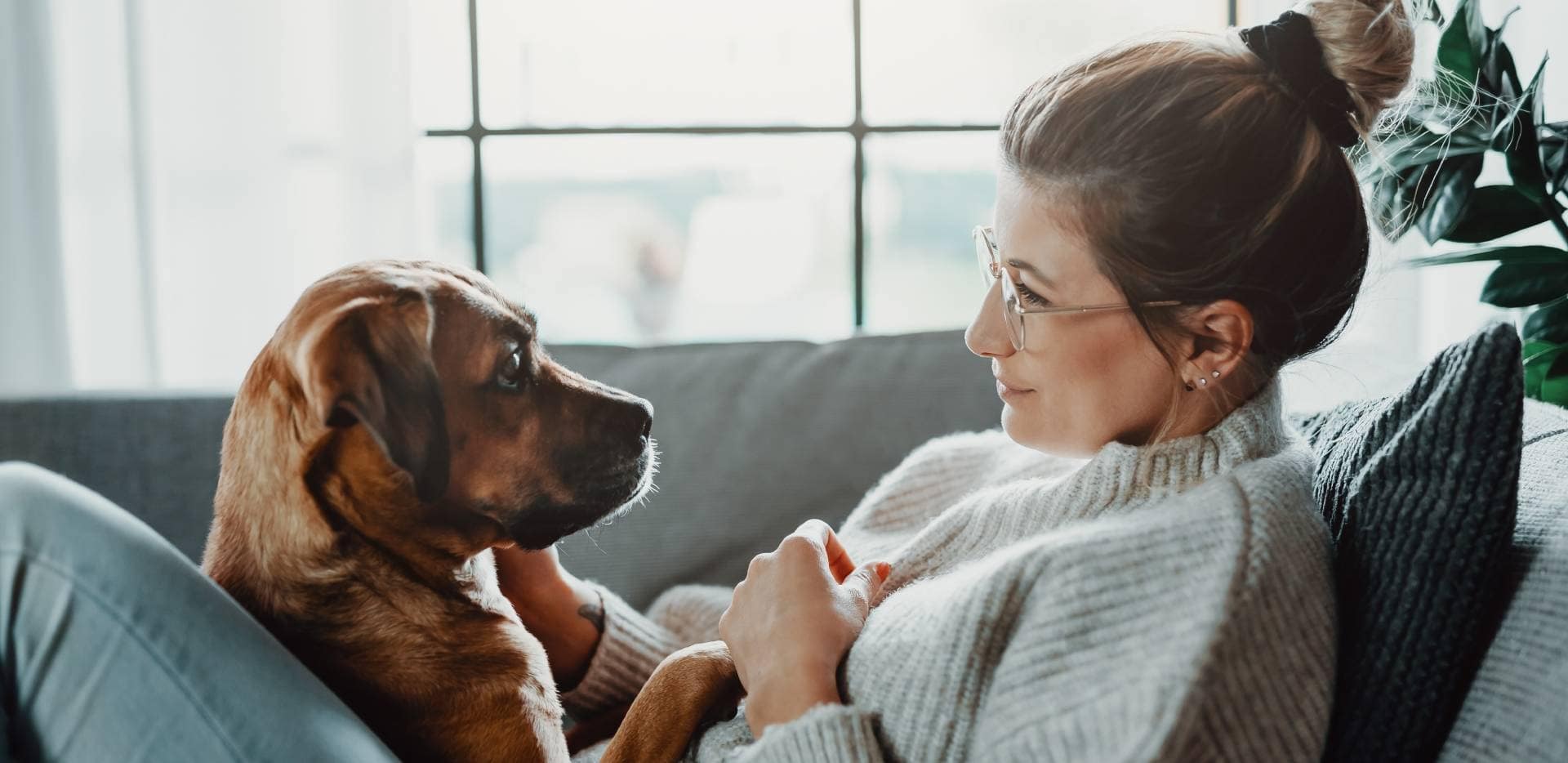 Unser Engagement für das Wohlbefinden der Tiere