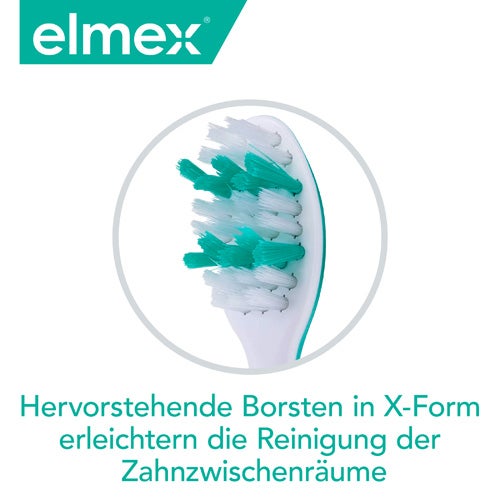Hervorstehende Borsten in X-Form