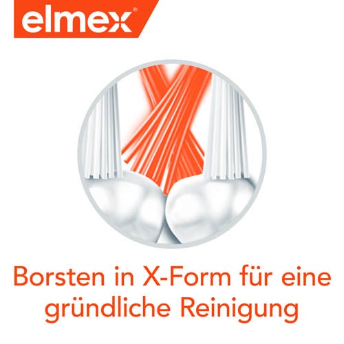 Borsten im X-Form