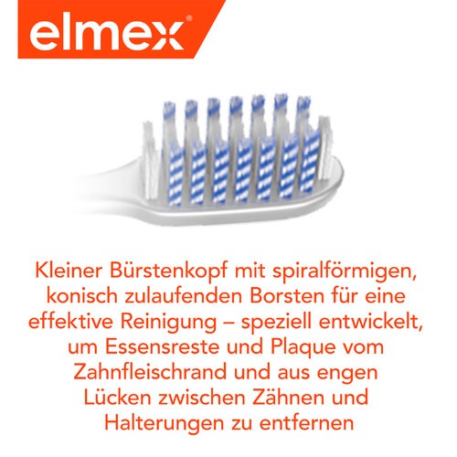 Kleiner Bürstenkopf 