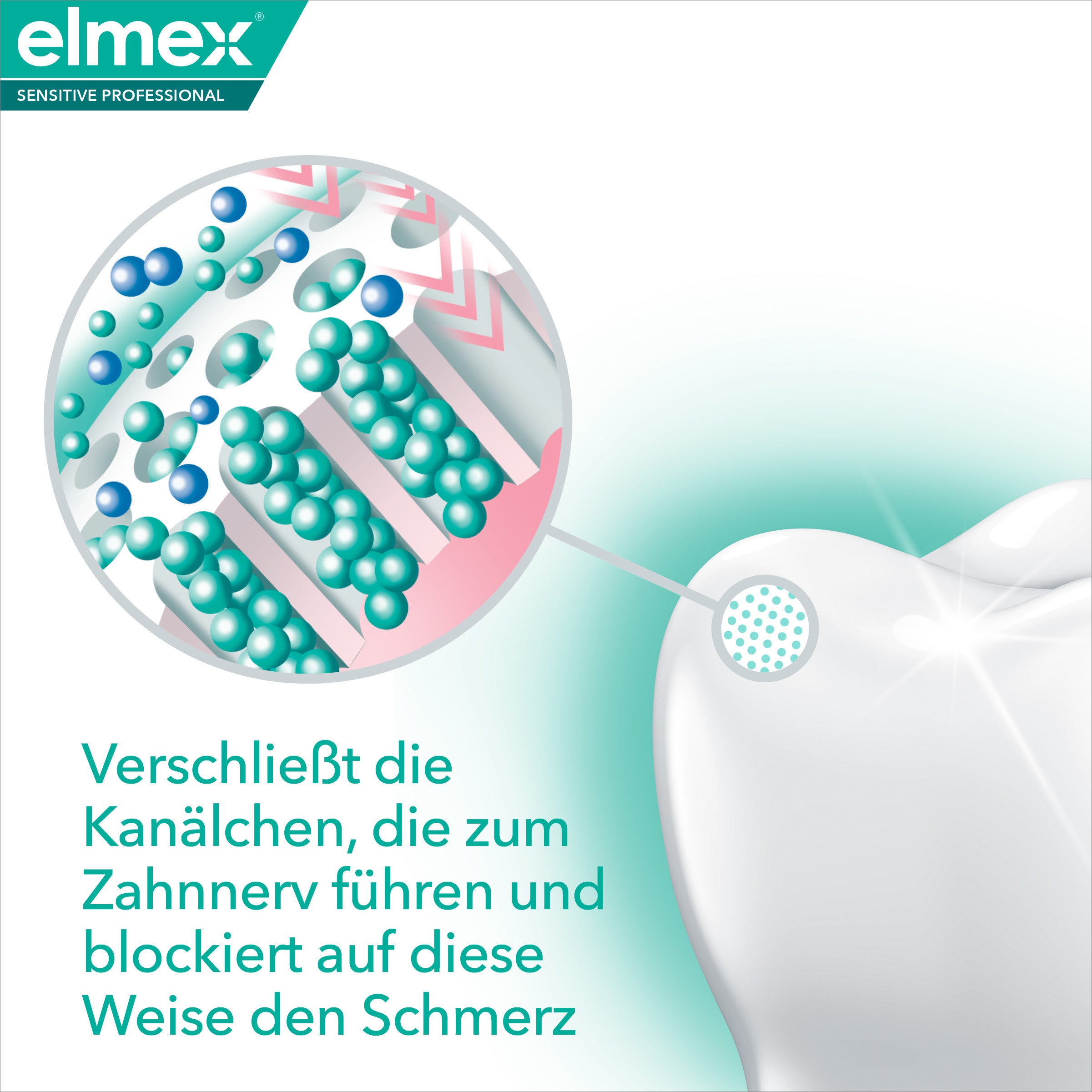 elmex sensitive professional zahnpasta vorteil